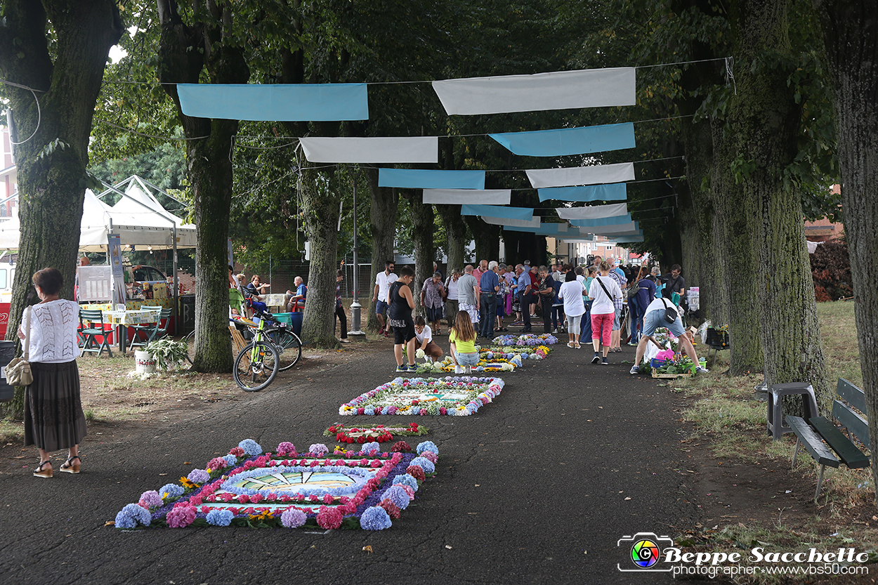 VBS_9846 - Infiorata di Villanova d'Asti 2023.jpg